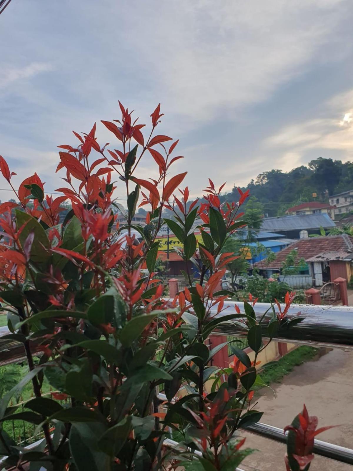 Varam Homestay Madikeri Eksteriør bilde